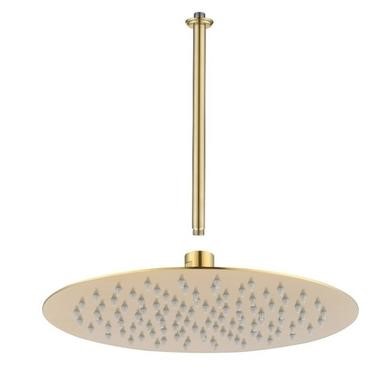 Shower Head with Ceiling  Arm