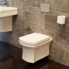 Isobelle Wall Mounted Toilet and Soft Close Seat