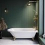 Freestanding Single Ended Shower Bath with Brushed Brass Screen & Feet 1670 x 740 mm - Park Royal