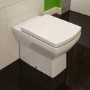 Back to Wall Toilet with Soft Close Seat - Tabor