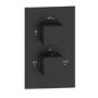 Black Single Outlet Ceiling Mounted Thermostatic Mixer Shower  - Zana