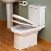 Isobelle Toilet and Seat