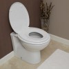 Toilet Training Seat 