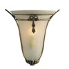 Bronze Oval Scavo Frosted Glass Wall Light