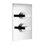Concealed Dual Control Thermostatic Shower Valve - Geo Range