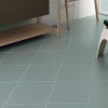 Rays Grey Wall/Floor Tile