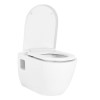 Aviso Wall Hung Toilet inc Seat