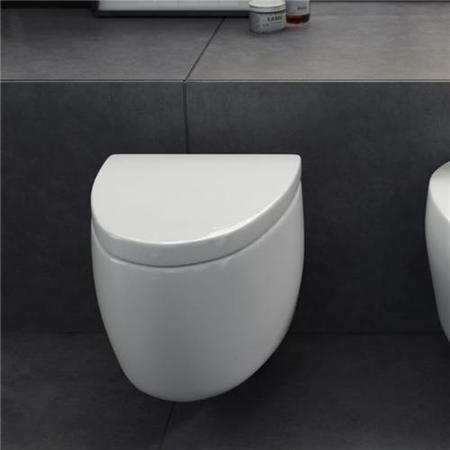 Garda Wall Hung Toilet inc Soft Close Seat