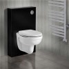 Wall Hung Black Glass Cabinet Cistern with push button