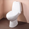Icon Toilet and Seat