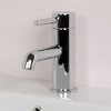 Focus Basin Mono