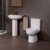 Icon Toilet and Seat