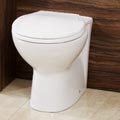 Tampa Toilet