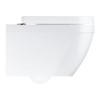 Wall Hung Rimless Toilet with Soft Close Seat - Grohe Euro