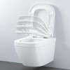 Wall Hung Toilet with Soft Close Seat Frame and Cistern - Grohe Solido Euro