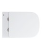 Wall Hung Toilet with Soft Close Seat Frame and Cistern - Grohe Solido Euro