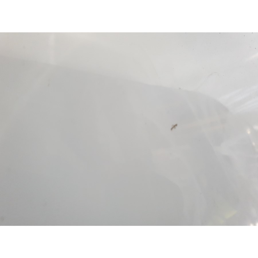 GRADE A2 - Small Freestanding Double Ended Bath 1400 x 745mm - Lisbon