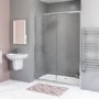 GRADE A1 - 1700mm Sliding Shower Door-Carina