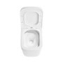 Back to Wall Rimless Toilet with Soft Close Seat - Albi