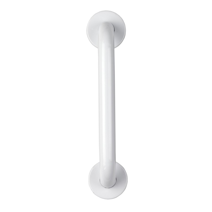 Stainless Steel Grab Rail 300mm
