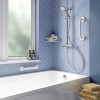 Stainless Steel Grab Rail 300mm