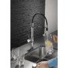 Abode AT2055 Swich Water Filter Diverter - Round Handle in Brushed Nickel with Hard Water Filter
