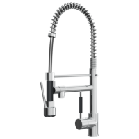 Reginox Chrome & Black Single Lever Pull Out Kitchen Tap - Arndel CH