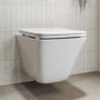 Wall Hung Toilet With Grohe Frame And Black Flush Plate - Boston