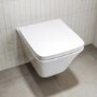 Wall Hung Toilet With Grohe Frame And Black Flush Plate - Boston