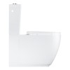 Close Coupled Rimless Toilet with Soft Close Seat - Grohe Essence