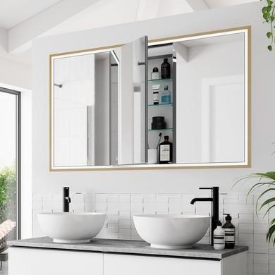 Mirrored Bathroom Cabinets Cabinet With Mirror Better Bathrooms