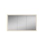 HIB Vanquish 120 Recessed Brass Bathroom Mirror Cabinet with Lights - 1230 x 730mm