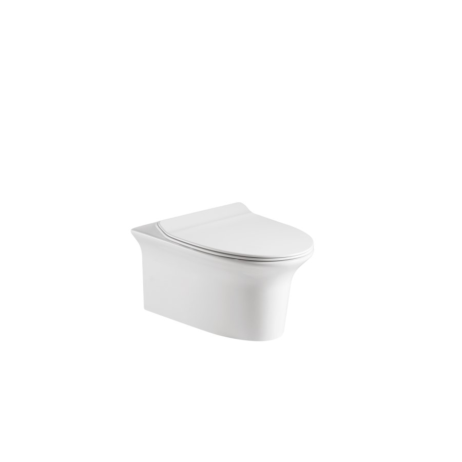 Wall Hung Toilet with Soft Close Seat Frame Cistern and Chrome Flush - Valencia