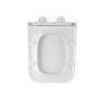 Albi Back to Wall Rimless Toilet with Soft Close Seat & Concealed Cistern With Brushed Brass Push Button
