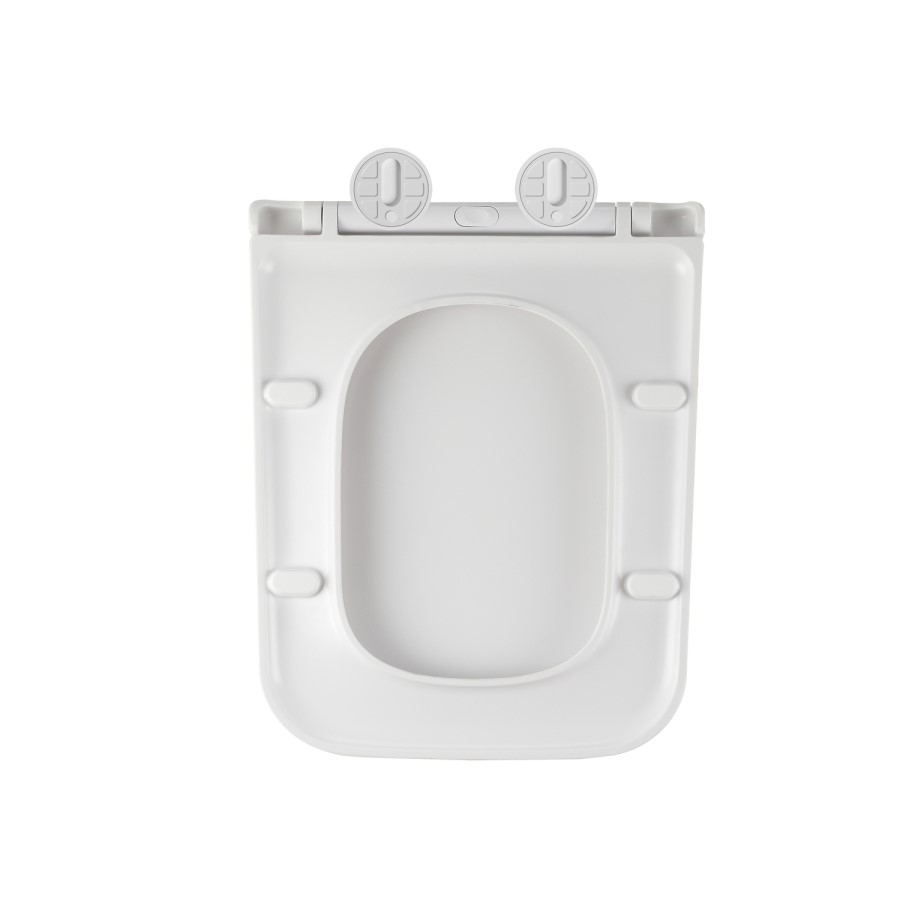 Albi Back to Wall Rimless Toilet with Soft Close Seat & Concealed Cistern With Matt Black Push Button