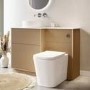 Back to Wall Rimless Toilet with Soft Close Seat - Albi