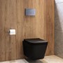 Matt Black Wall Hung Toilet with Soft Close Seat, Chrome Mechanical Flush Plate, 1168mm Frame & Cistern - Albi