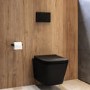 Matt Black Wall Hung Toilet with Soft Close Seat, Black Mechanical Flush Plate, 1168mm Frame & Cistern - Albi