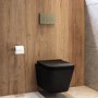 Matt Black Wall Hung Toilet with Soft Close Seat, Brass Mechanical Flush Plate, 1168mm Frame & Cistern - Albi