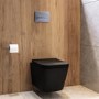 Matt Black Wall Hung Toilet with Soft Close Seat, Chrome Pneumatic Flush Plate, 1160mm Frame & Cistern - Albi