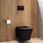 Matt Black Wall Hung Toilet with Soft Close Seat, Black Pneumatic Flush Plate, 1160mm Frame & Cistern - Albi