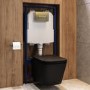 Matt Black Wall Hung Toilet with Soft Close Seat, Brass Pneumatic Flush Plate, 1160mm Frame & Cistern - Albi