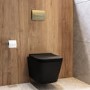 Matt Black Wall Hung Toilet with Soft Close Seat, Brass Pneumatic Flush Plate, 1160mm Frame & Cistern - Albi