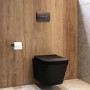Matt Black Wall Hung Toilet with Soft Close Seat, Gunmetal Pneumatic Flush Plate, 1160mm Frame & Cistern - Albi