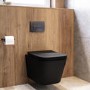 Matt Black Wall Hung Toilet with Soft Close Seat, Gunmetal Pneumatic Flush Plate, 820mm Frame & Cistern - Albi