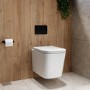 Albi Wall Hung Toilet 820mm Pneumatic Frame & Cistern & Black Flush Plate