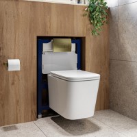 Albi Wall Hung Toilet 820mm Pneumatic Frame & Cistern & Brushed Brass Flush Plate Albi Wall Hung Toilet 820mm Pneumatic Frame & Cistern & Brushed Brass Flush Plate