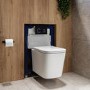 Albi Wall Hung Toilet 820mm Pneumatic Frame & Cistern & Black Glass Flush Plate