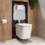 Albi Wall Hung Toilet 1160mm Pneumatic Frame & Cistern & White Glass Flush Plate