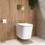 Wall Hung Toilet with Soft Close Seat, Mechanical Chrome Flush Plate, 1168mm Frame & Cistern - Albi